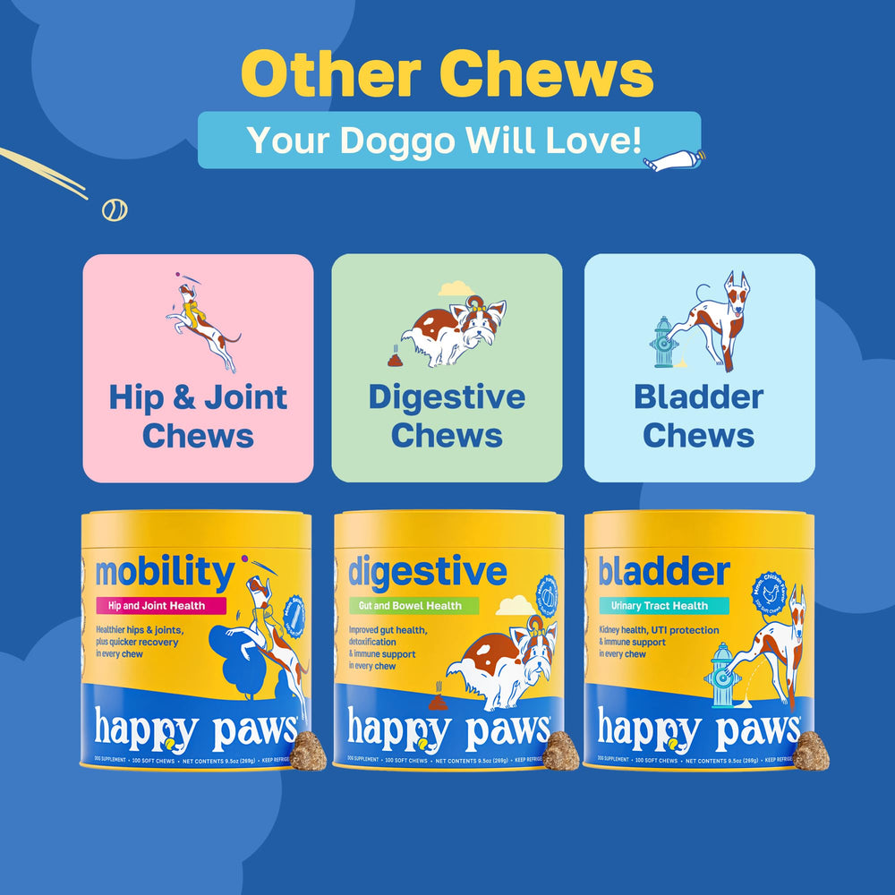 Happy Paws Dental Soft Chew jar with 100 chews supports consistent oral care.
