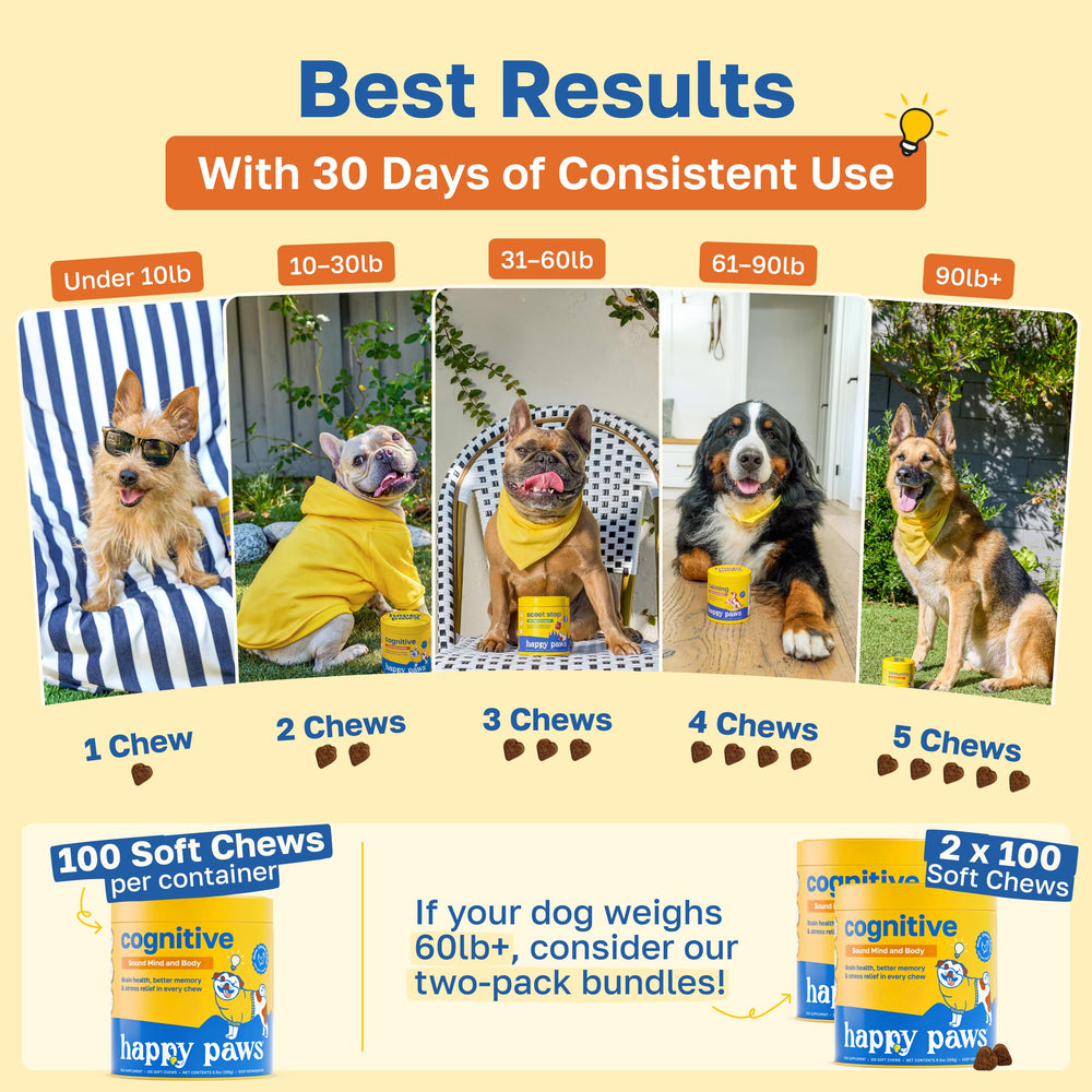 Happy Paws memory-focused dog use-case illustration emphasizes daily routine and focus.