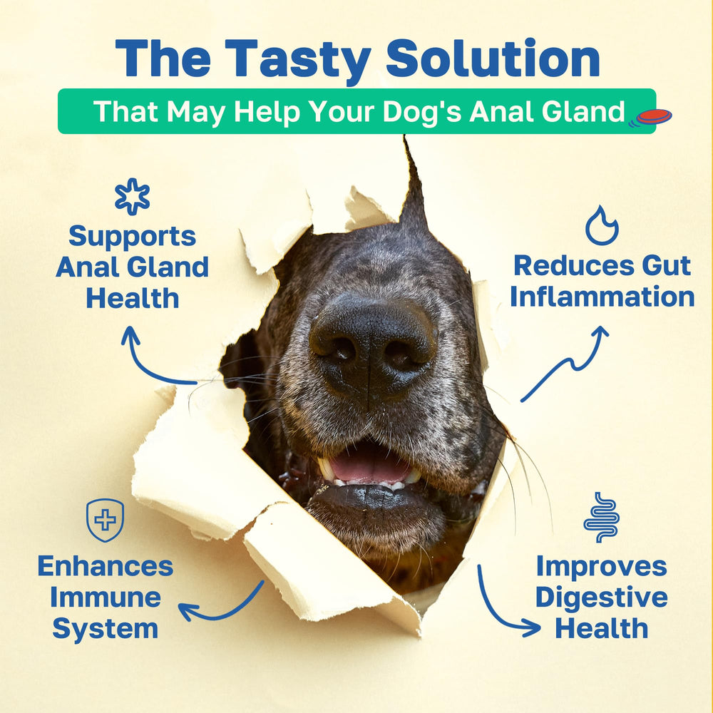 Happy Paws Scoot Stop chews closeup with vegan chicken flavor appealing to picky eaters.