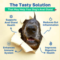 Happy Paws Scoot Stop chews closeup with vegan chicken flavor appealing to picky eaters.