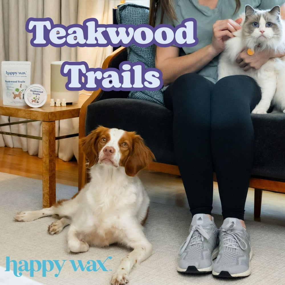 Happy Wax Teakwood Trails melts close-up shows dye-free, non-toxic soy formula for safe burning