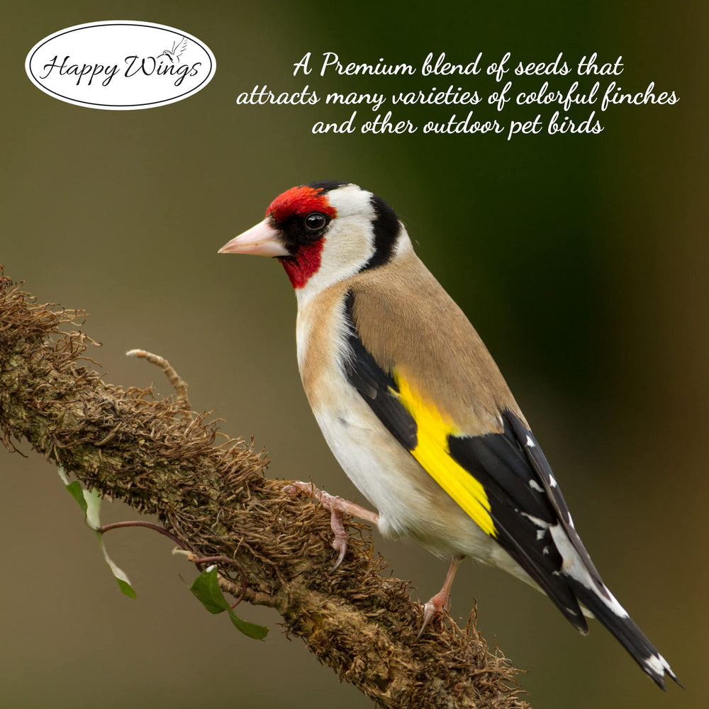 Happy Wings bird-feeder setup image showing placement on trees or posts.