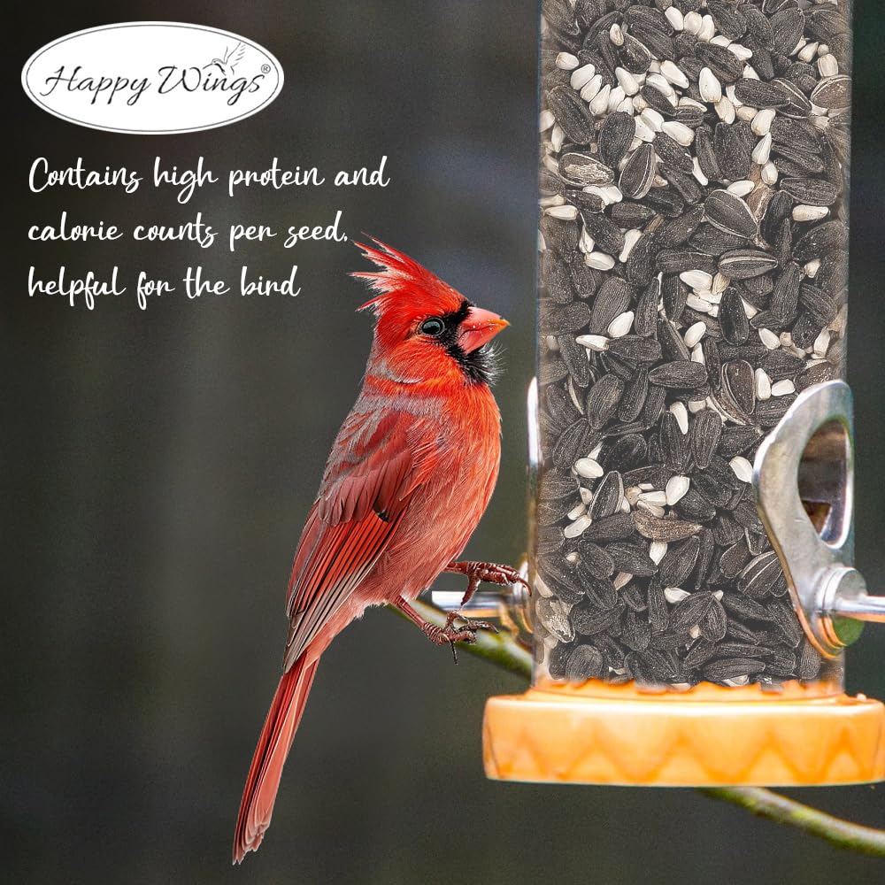 Happy Wings two-pack convenience supports regular feeding in busy households