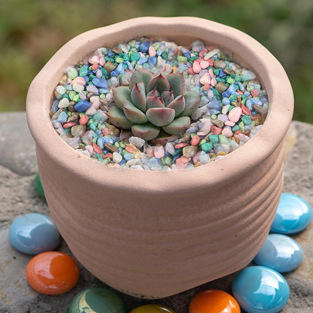 HappyFiller colored pea gravel plant decor in a pot showcasing vibrant color.
