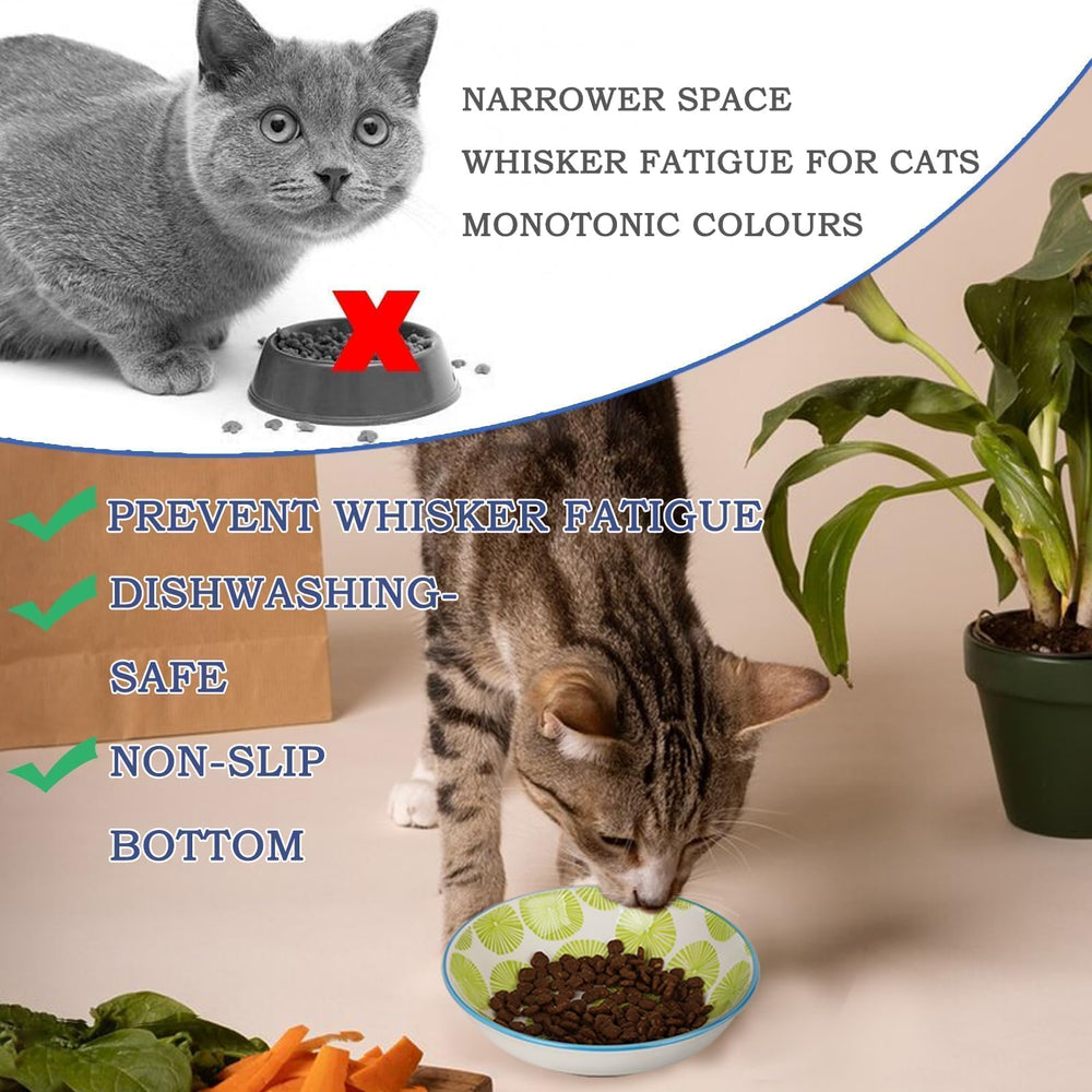 HAPPY KIT ceramic cat bowls for indoor cats ideal for daily meals and water