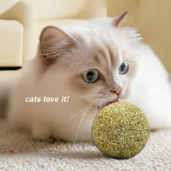 Happylain catnip ball with cat demonstrates stimulated instincts and energy