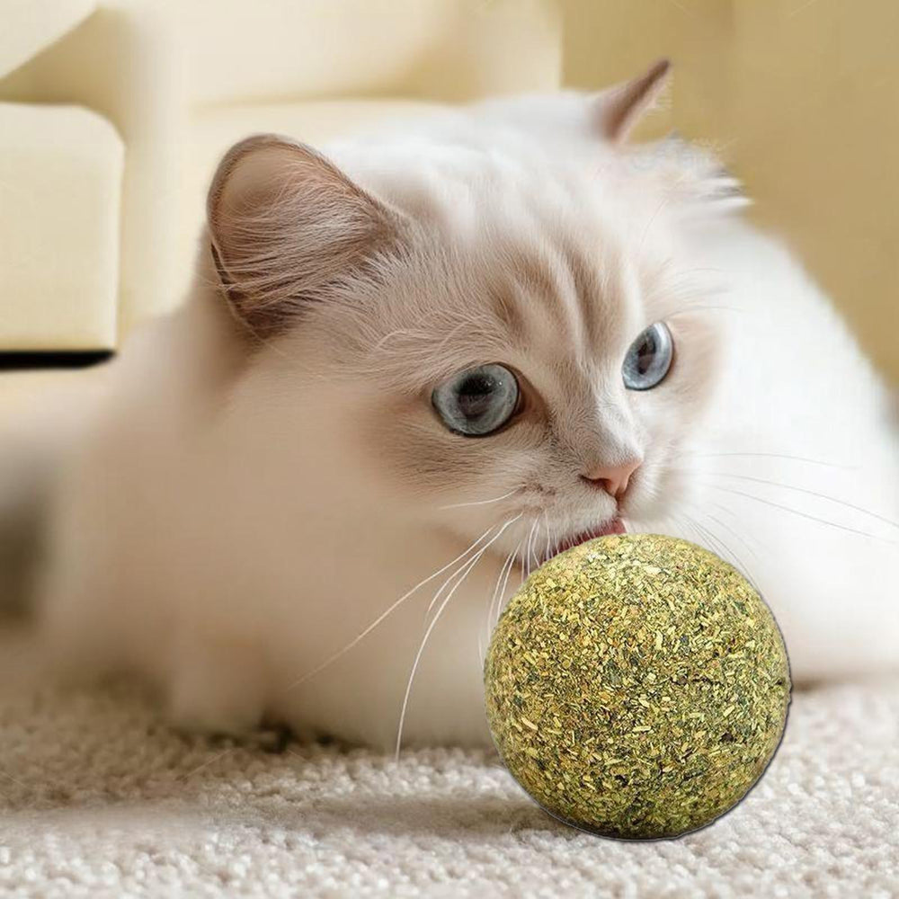 Happylain catnip ball easy-release design promotes continued play