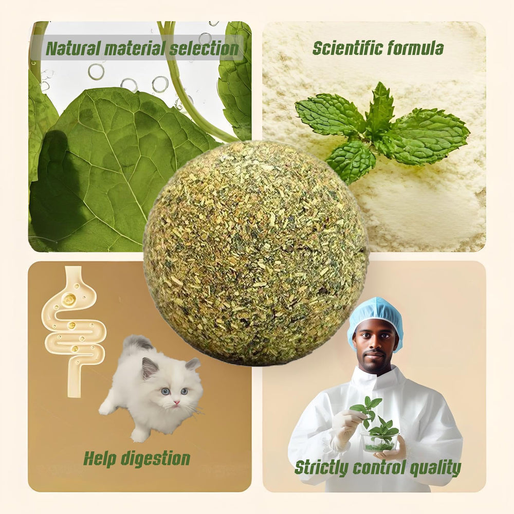 Happylain catnip ball indoor-use scene supports focused play sessions