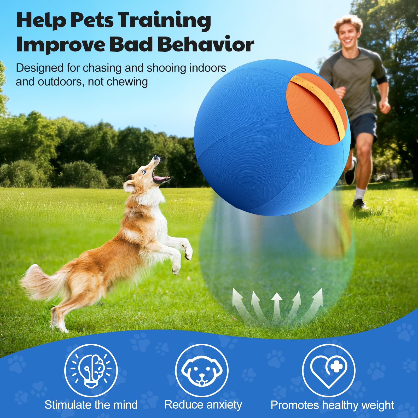 Happypaw 25inch Herding Ball in action during a chase session for instinct stimulation.