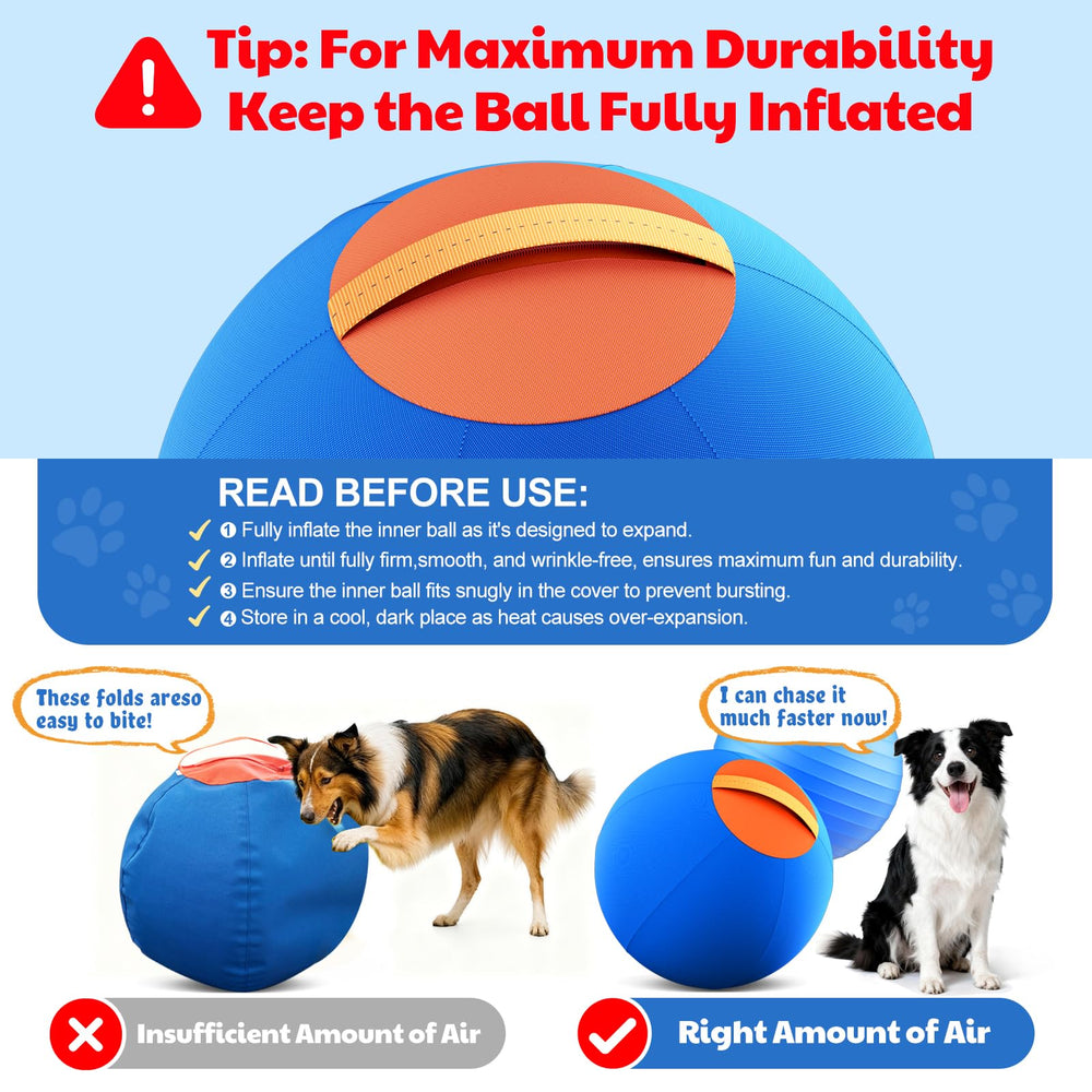 Happypaw 25inch Herding Ball with pump kit for quick setup.