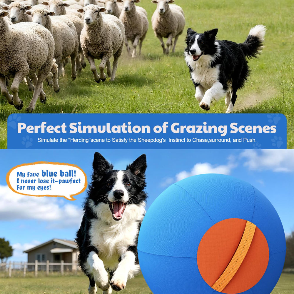 Happypaw 25inch Herding Ball during training sessions boosts engagement.