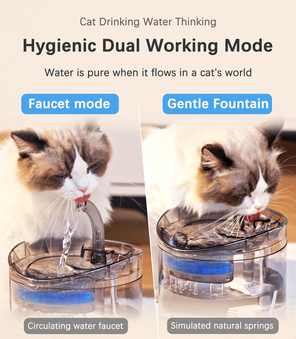 HAPUP cat water fountain inclined water path showcases gentle flow options.