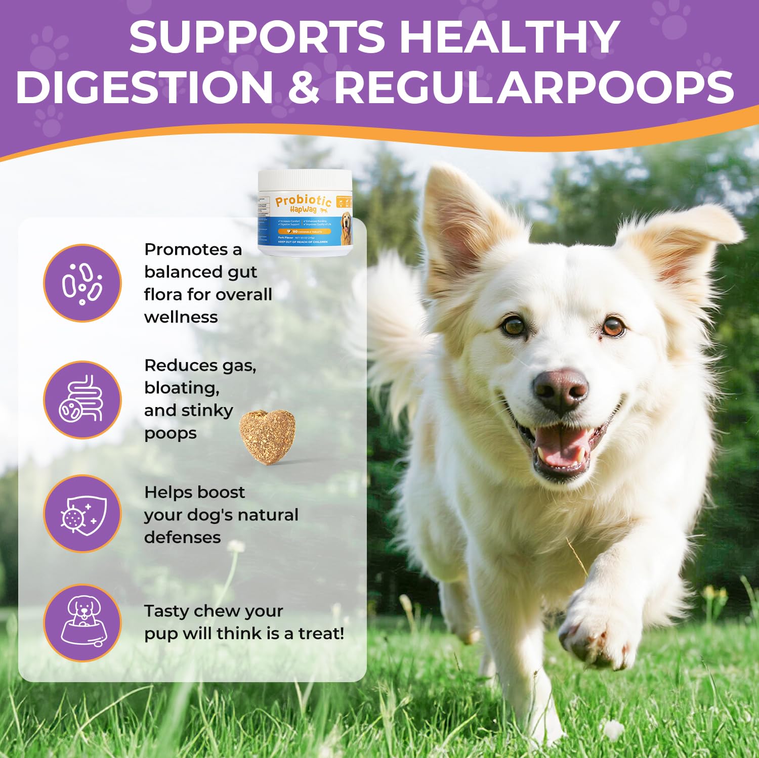 HAPWAG bottle label shows FDA-registered probiotic for pets.