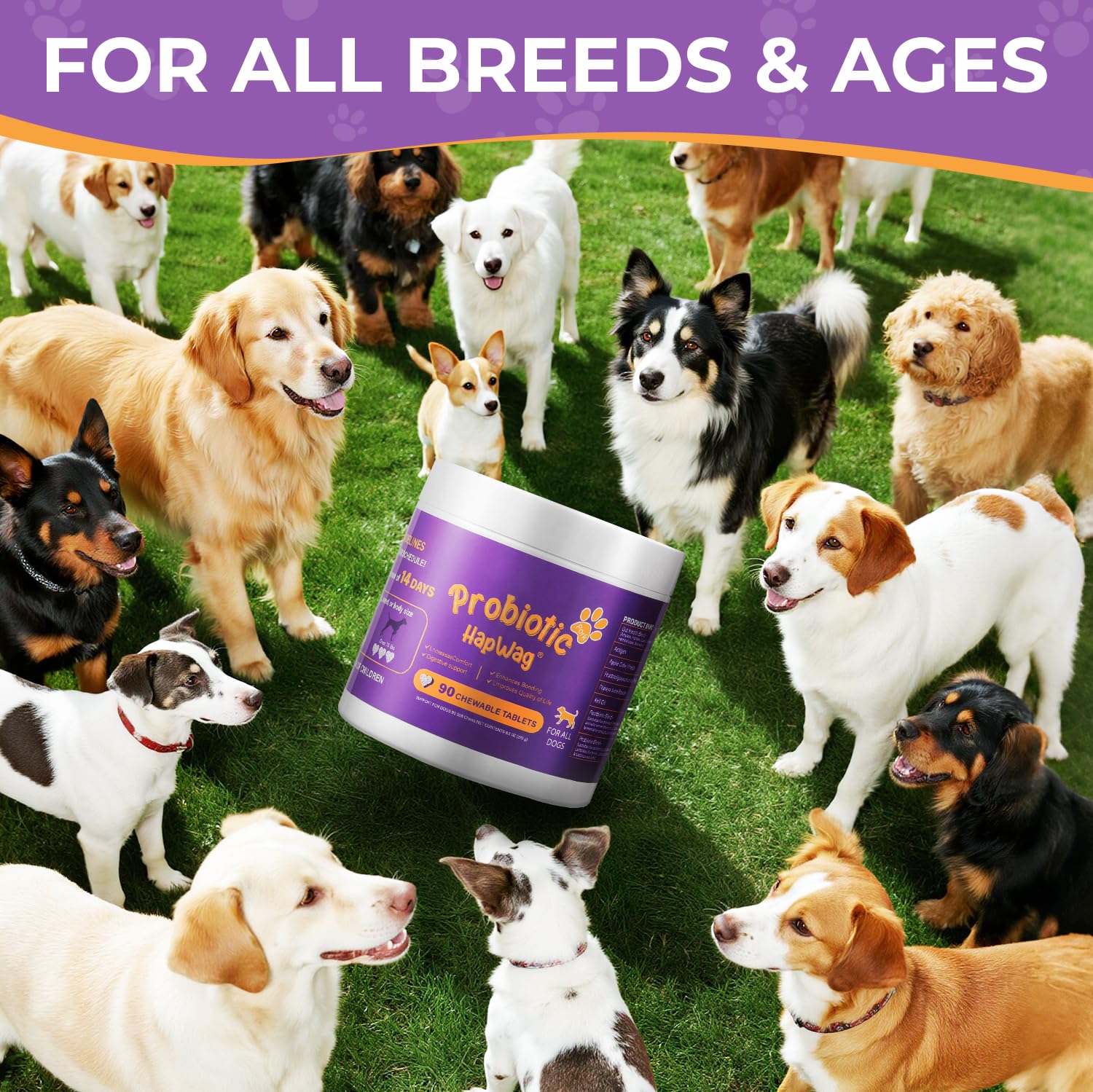 HAPWAG-fda-registered-probiotic-dogs: FDA-registered formula for canine digestive support.