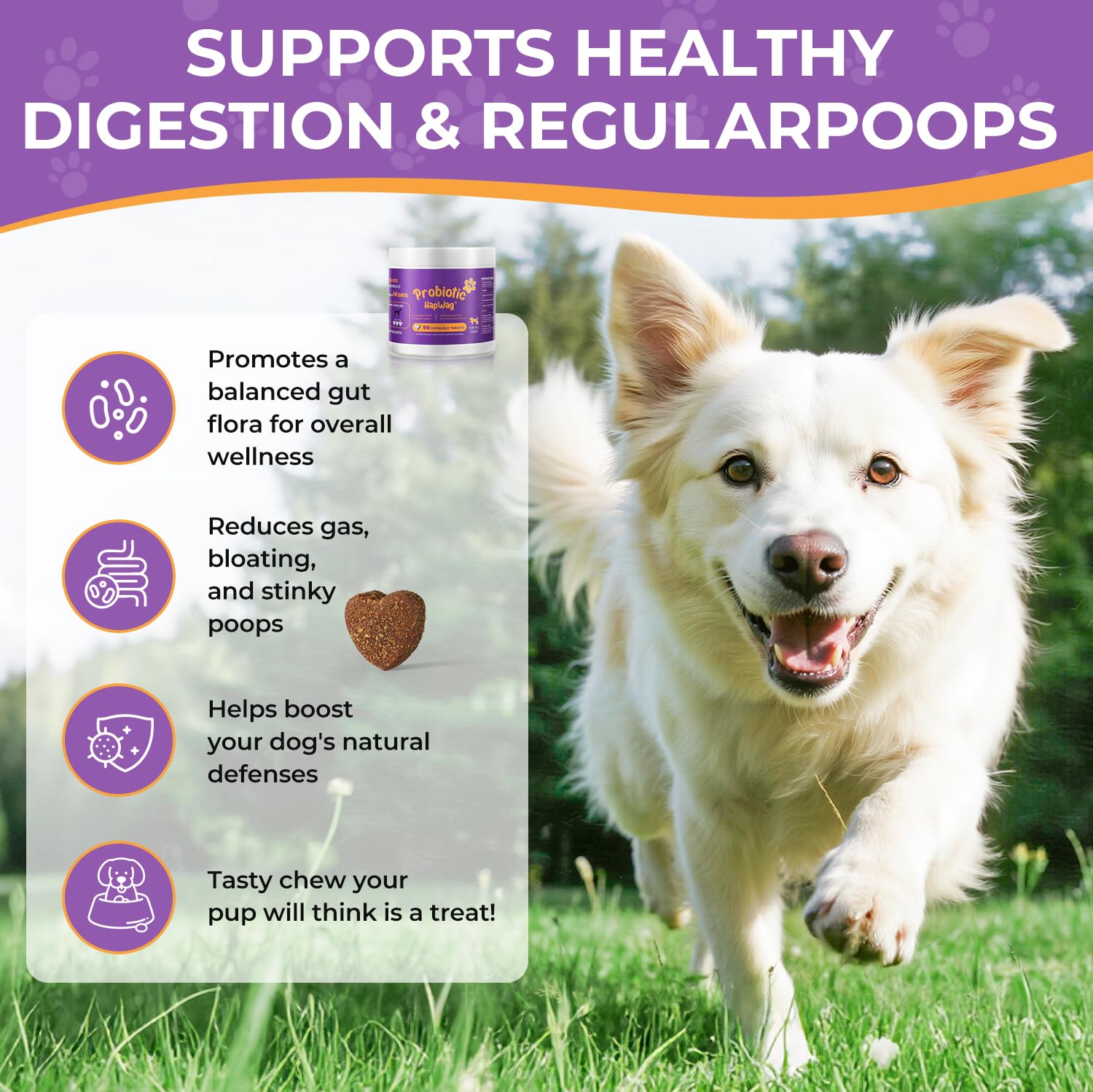 HAPWAG-pork-flavor-dog-chews-plate: tasty pork-flavor chews ideal for daily routine.