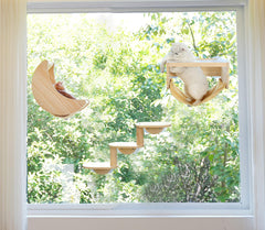 HAPYKITYS moon hammock suction cups — secure window perch for relaxing afternoon naps.