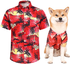 Harbyel dog shirt Hawaii pattern worn during stylish park walks.