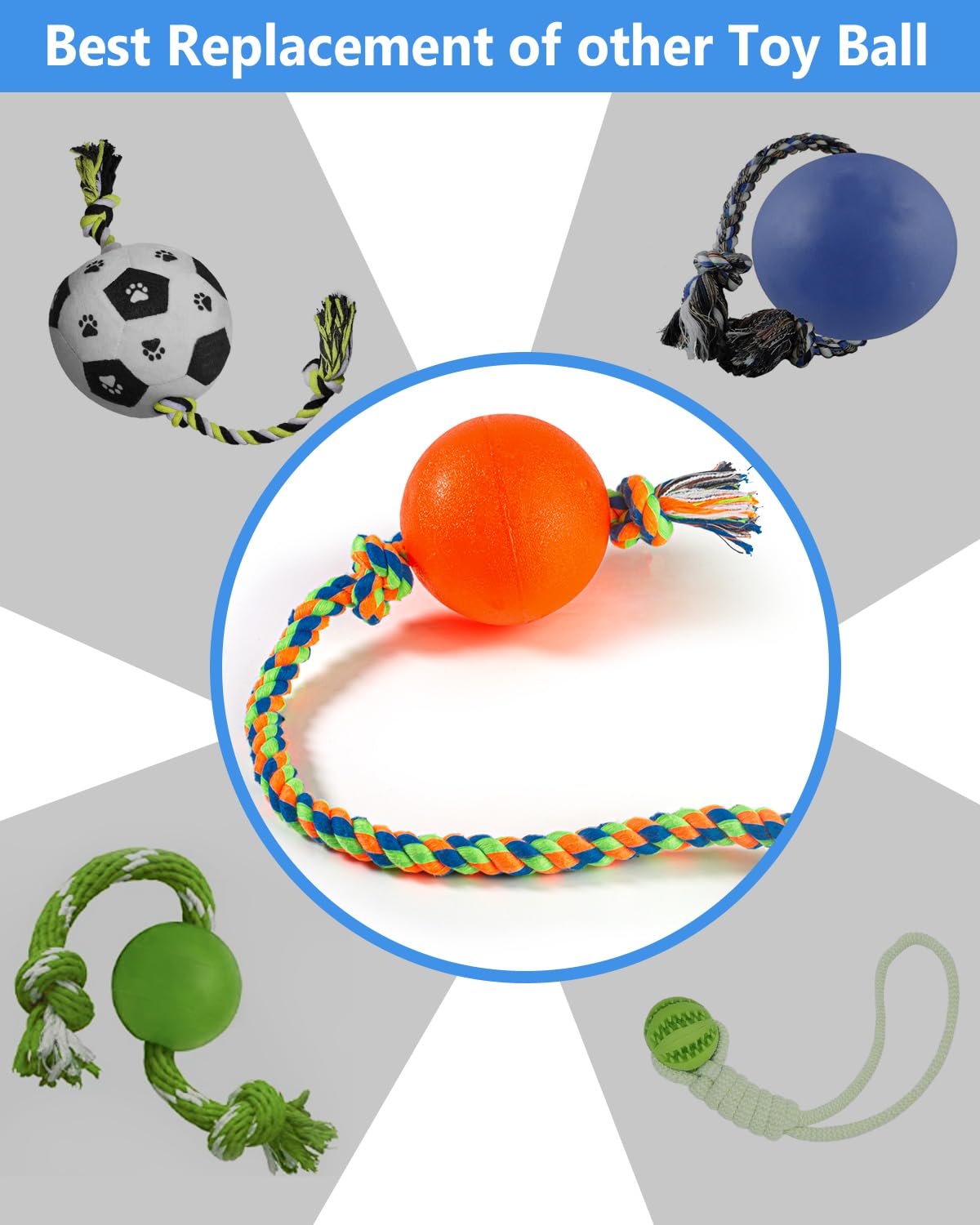 Harhana training and bonding play action supports versatile fetch and tug sessions
