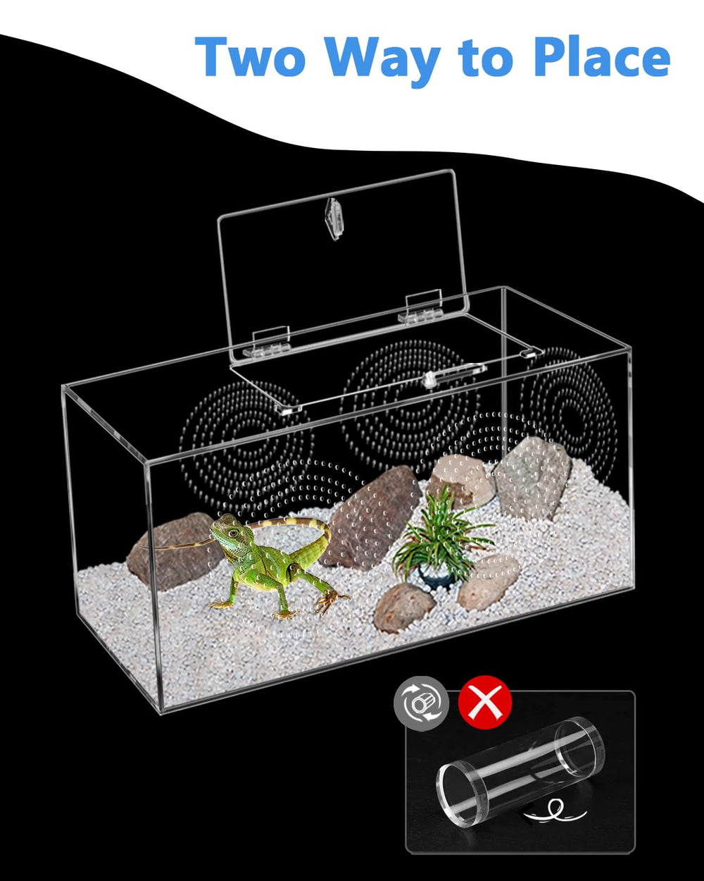 Harhana Jumping Spider Enclosure escape-proof latches ensure safety