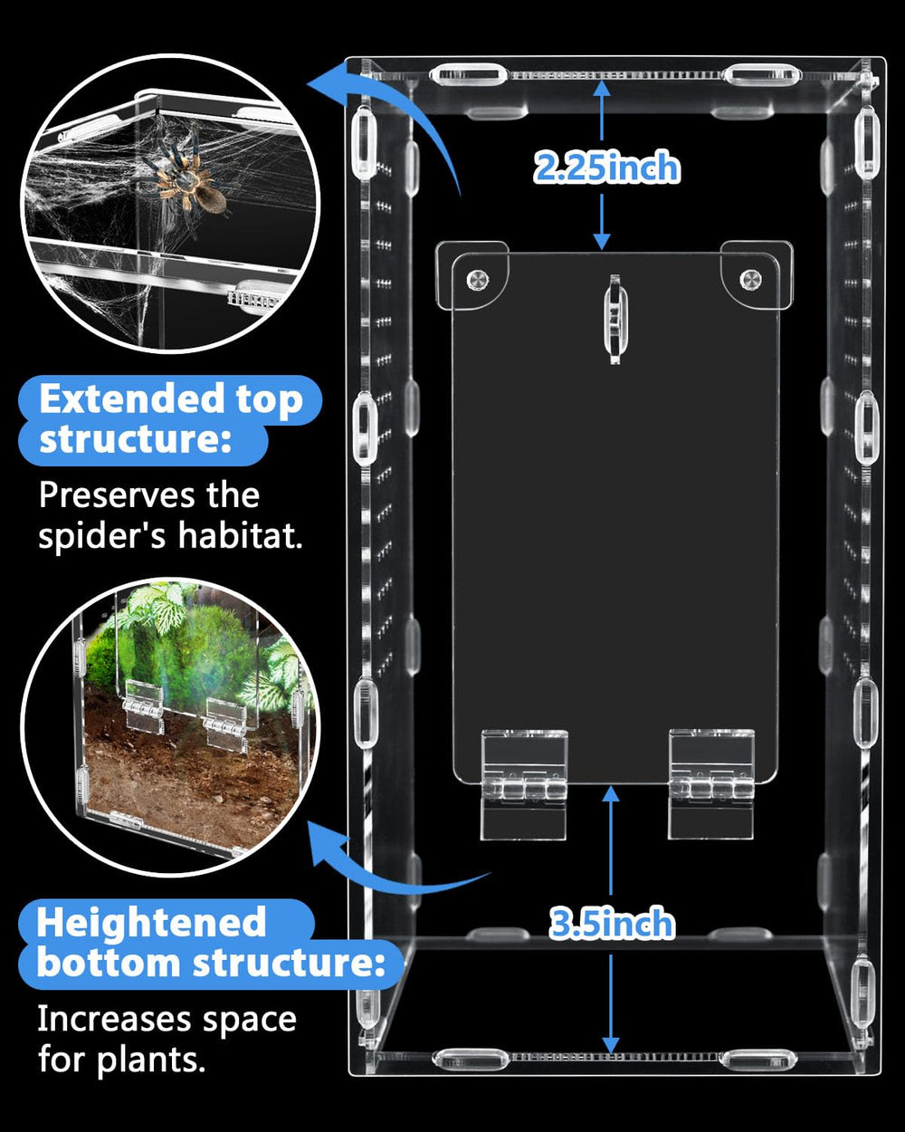 Harhana Jumping Spider Enclosure ventilation holes promote healthy airflow