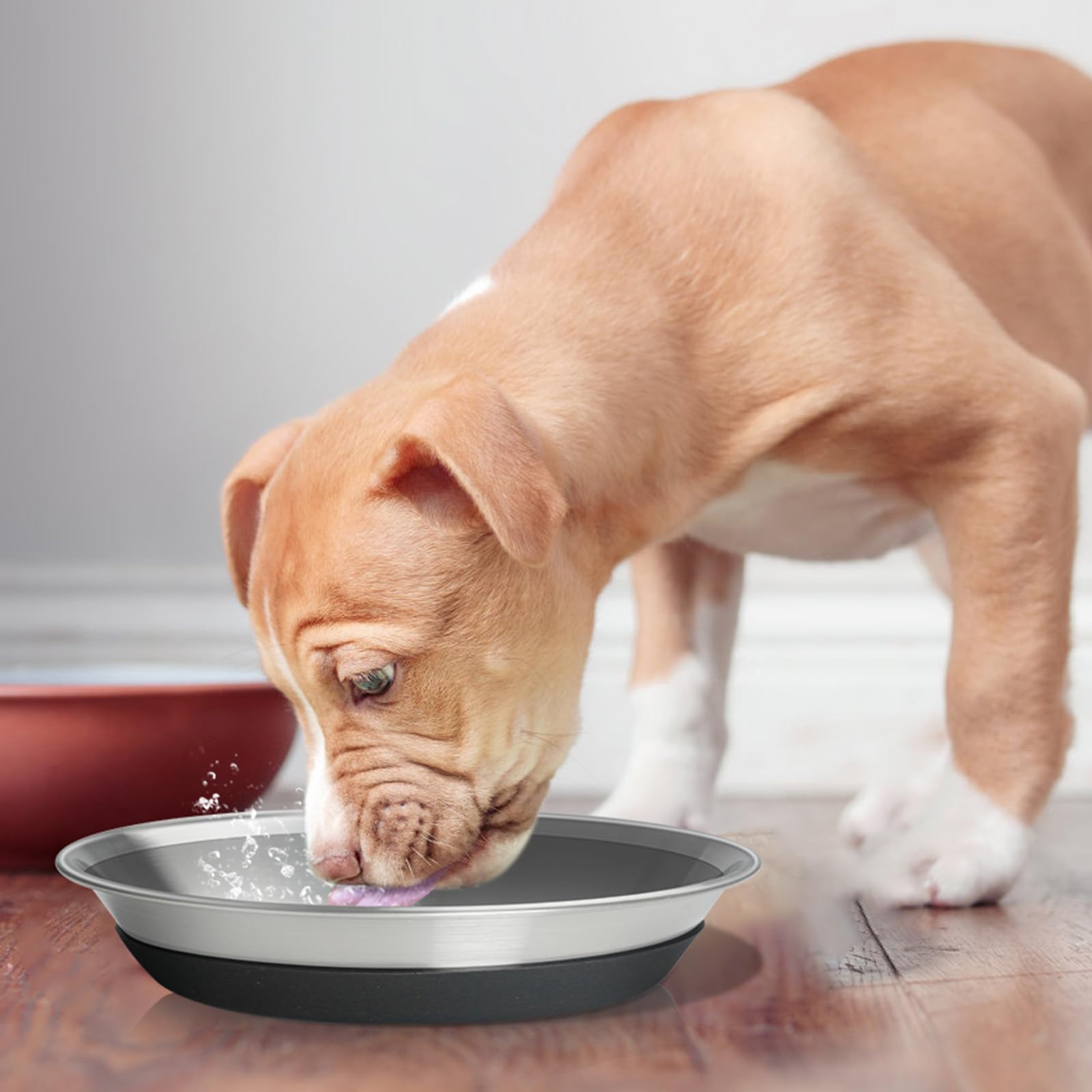 Harhana all-sizes friendly bowls fit puppies to large dogs for growing households.