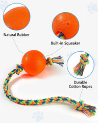 Harhana squeaky ball close-up showcases engaging sound for active play