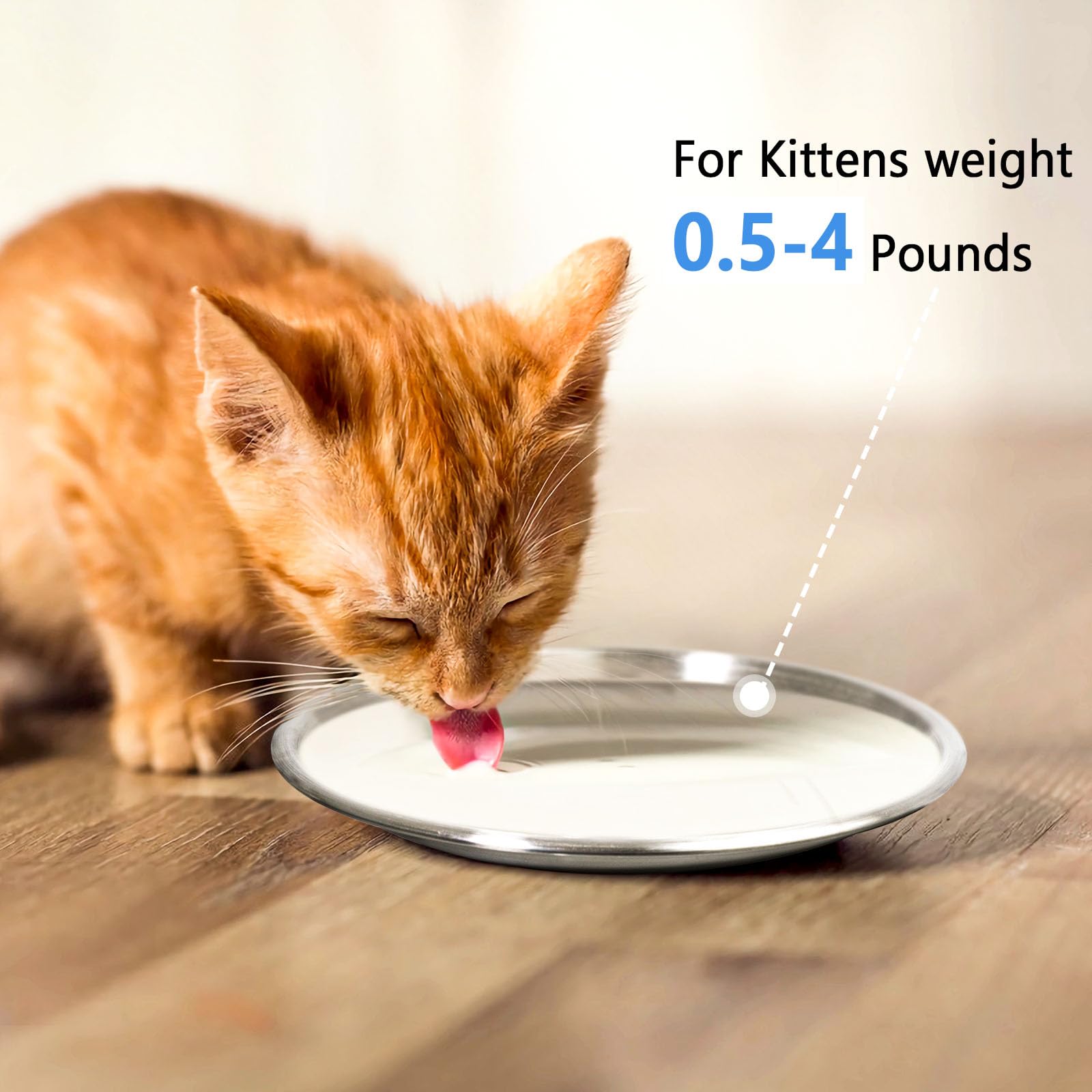 Harhana cat dishes shallow design reduces whisker contact and simplifies bowls for small pets