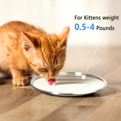 Harhana cat dishes shallow design reduces whisker contact and simplifies bowls for small pets