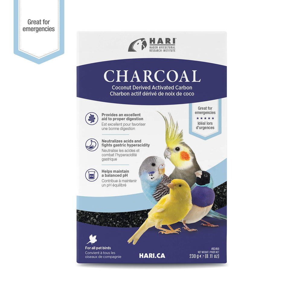Close-up of Hari Charcoal bottle emphasizing coconut-derived charcoal.