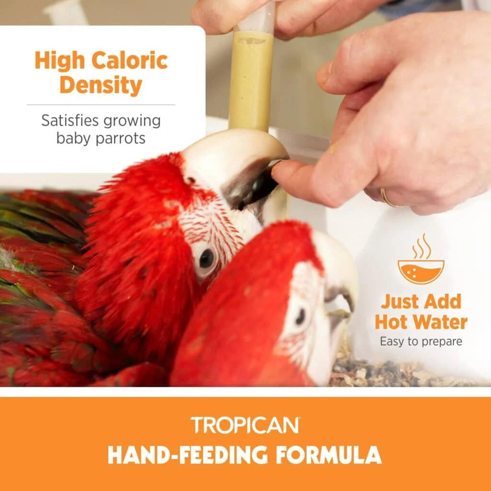 Hari Tropican baby bird food balanced-diet emphasizes nutrient-dense nourishment