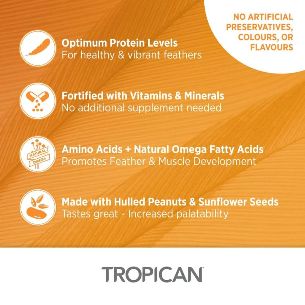 Hari Tropican baby bird food kibble texture close-up reveals palatable consistency