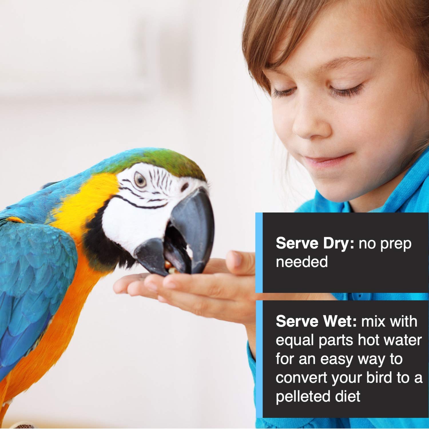Hari Tropimix foraging activity image showing enrichment and mental stimulation