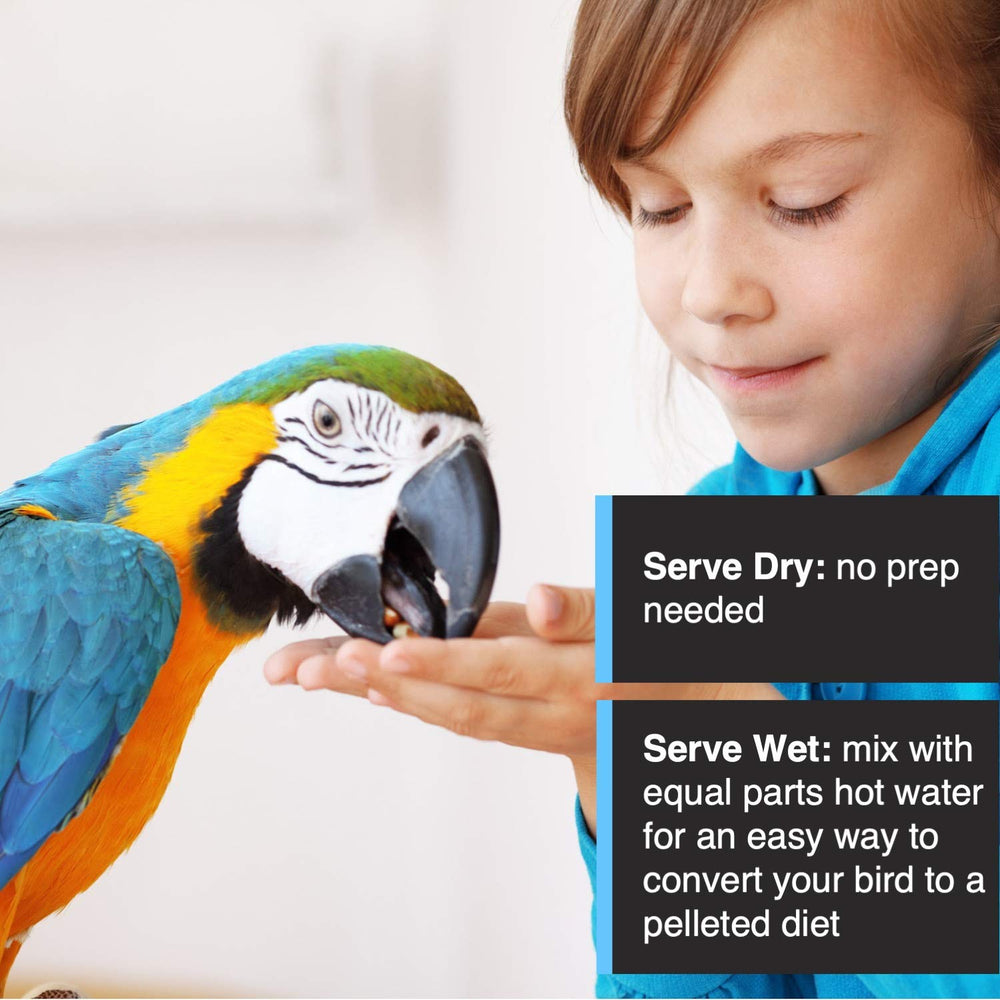Hari Tropimix foraging activity image showing enrichment and mental stimulation