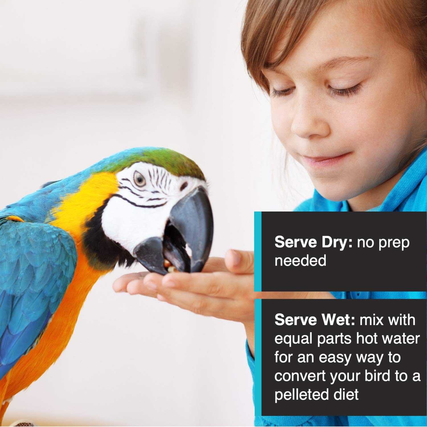 Hari Tropimix supports vibrant feathers through nutritious ingredients