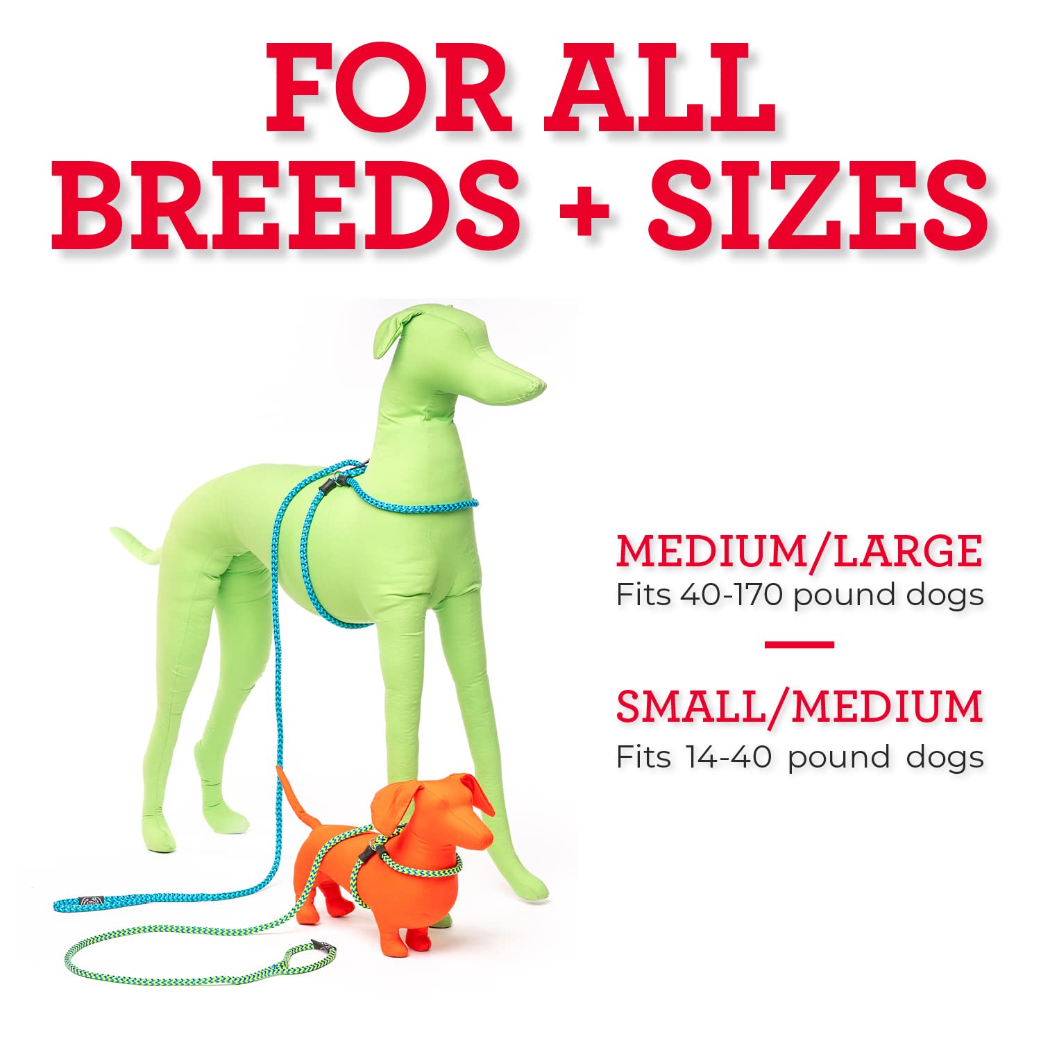Harness Lead cushioned rope design close-up emphasizes comfort and escape resistance.