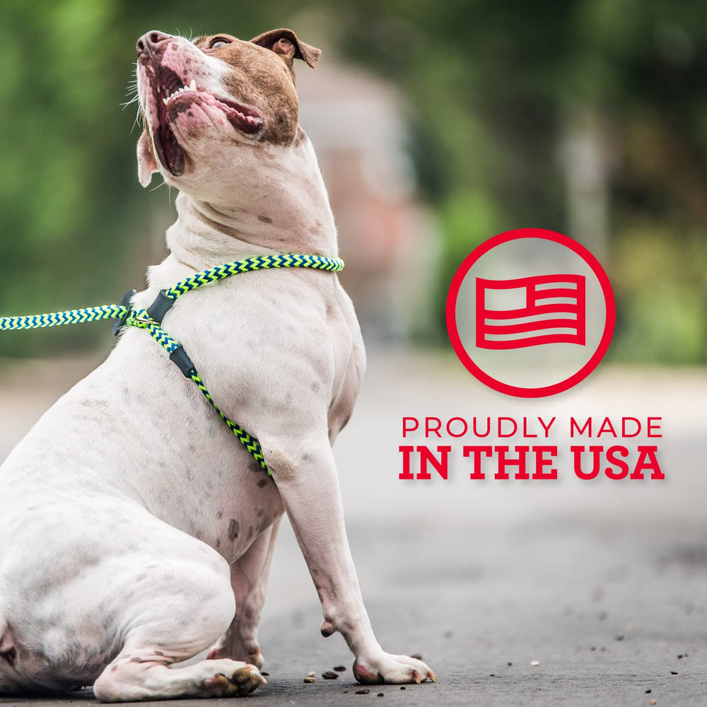 Harness Lead escape-resistant design showcasing secure fit for active dogs during outings.