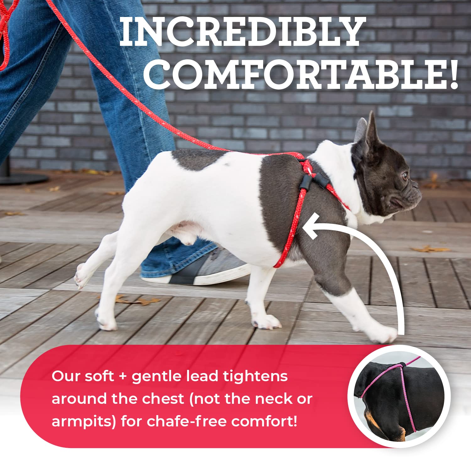 Harness Lead escape-proof design close-up demonstrating back-out prevention
