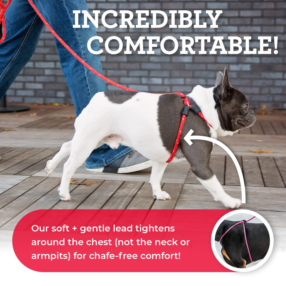 Harness Lead escape-proof design close-up demonstrating back-out prevention