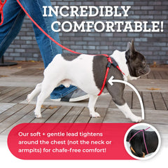 Harness Lead escape-proof design close-up demonstrating back-out prevention