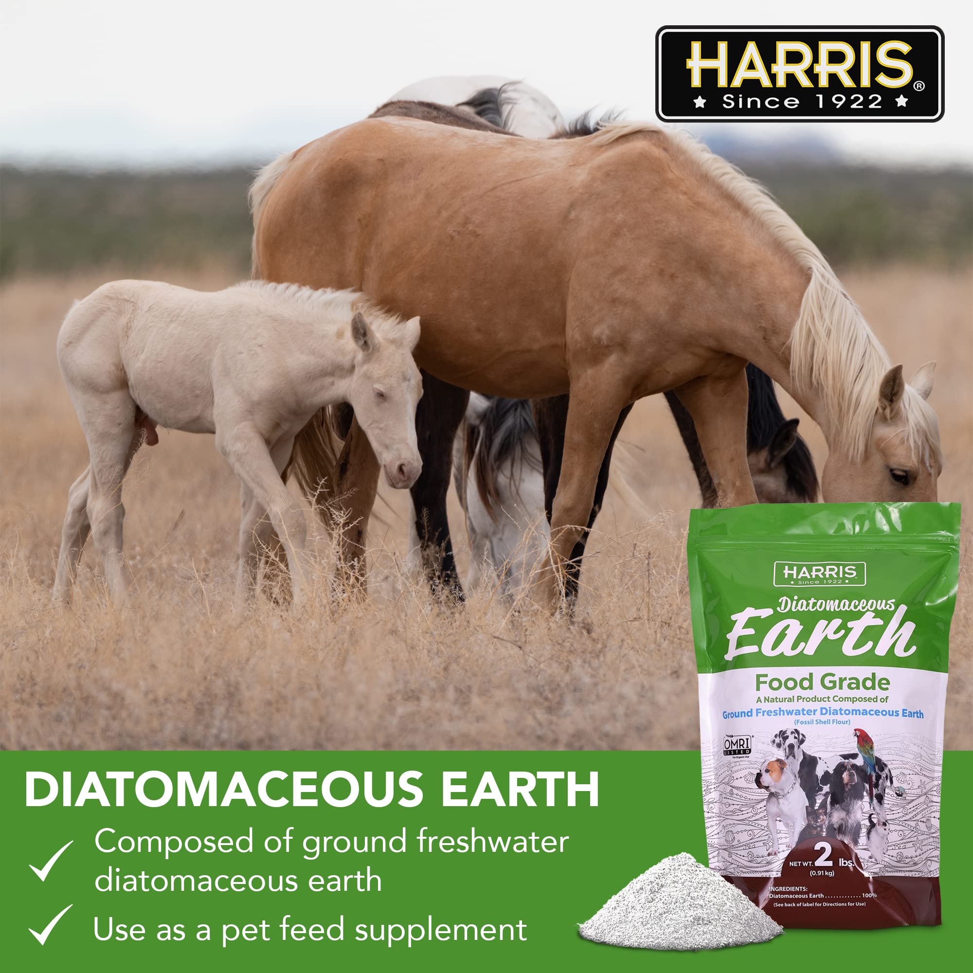 Mascotas felices junto a su cuenco gracias a Harris diatomita alimentaria.