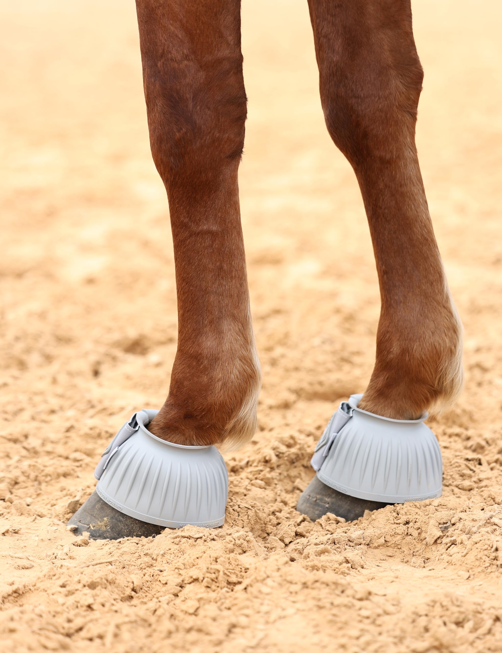 Harrison Howard bell boots pair-pack image emphasizes value and protection