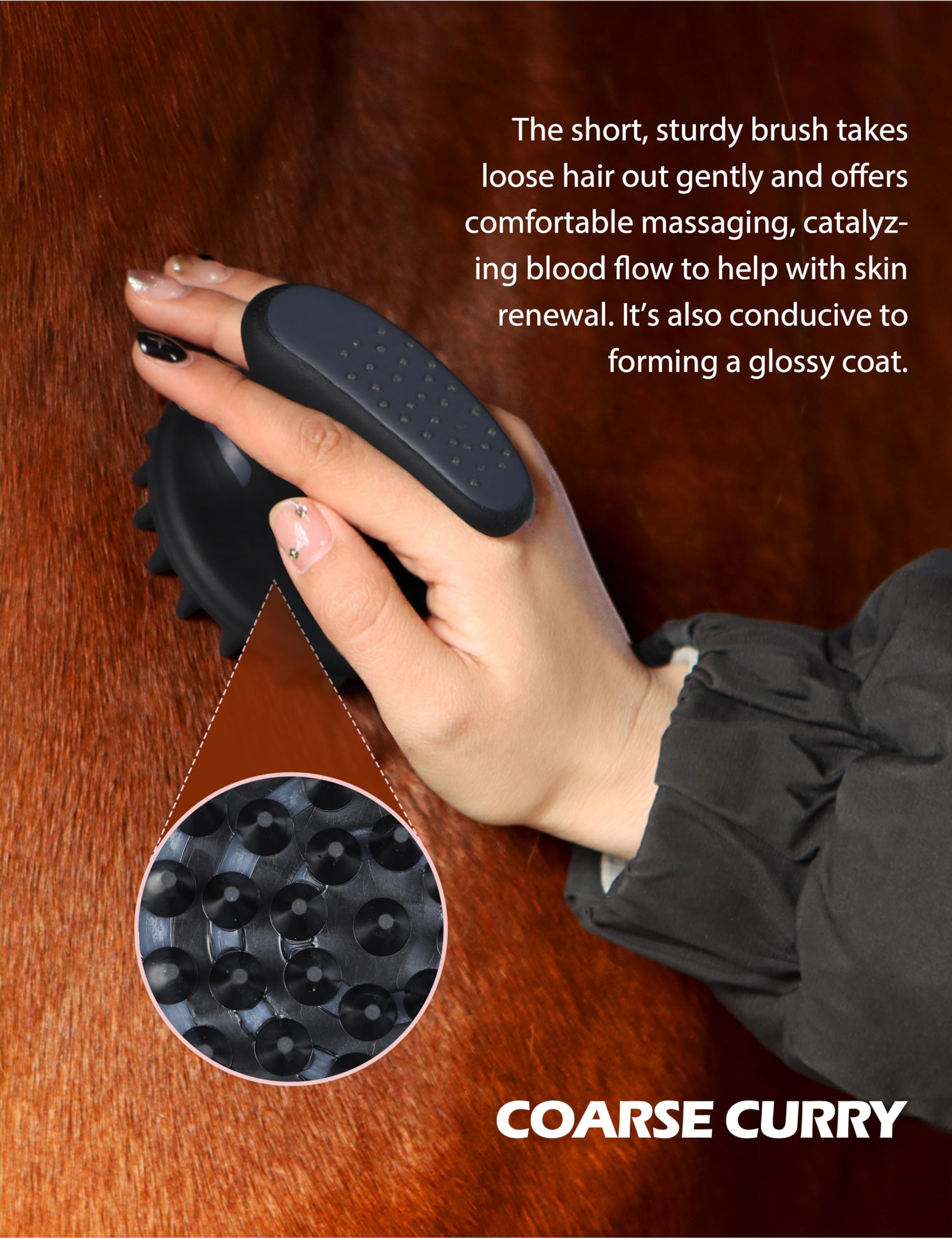 Harrison Howard hoof pick closeup for safe hoof care