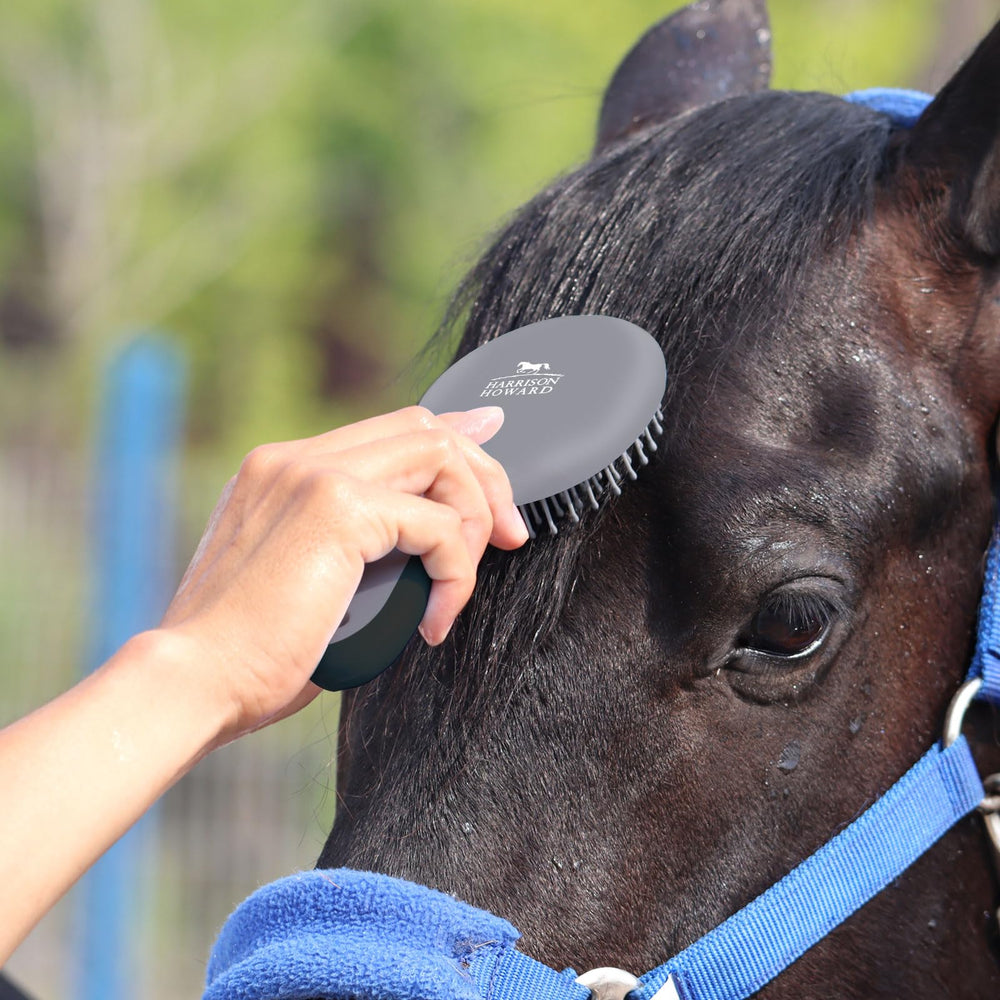 Harrison Howard evenly spaced teeth massage brush through hair and promote circulation.