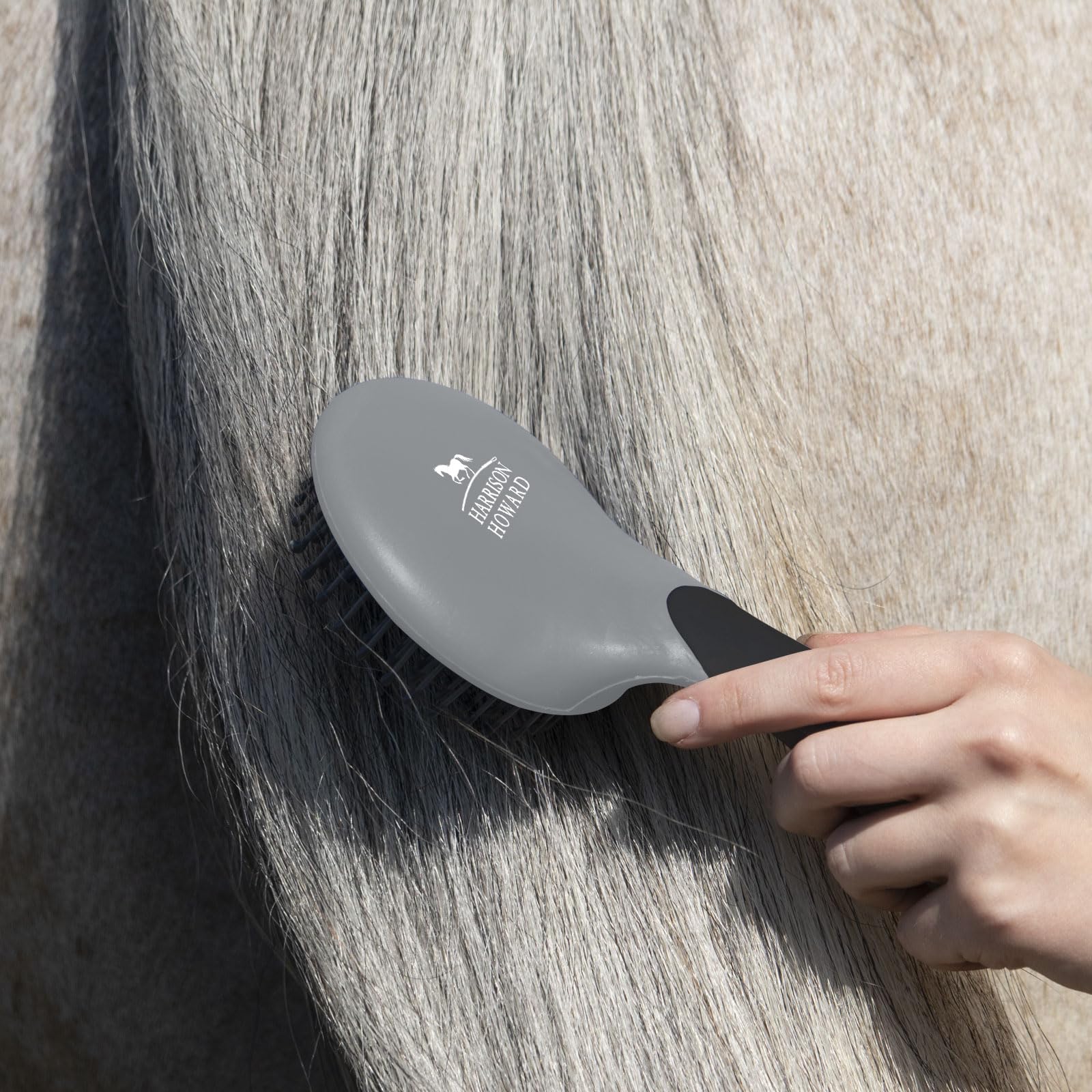 Harrison Howard black mane and tail brush resting in hand during grooming.