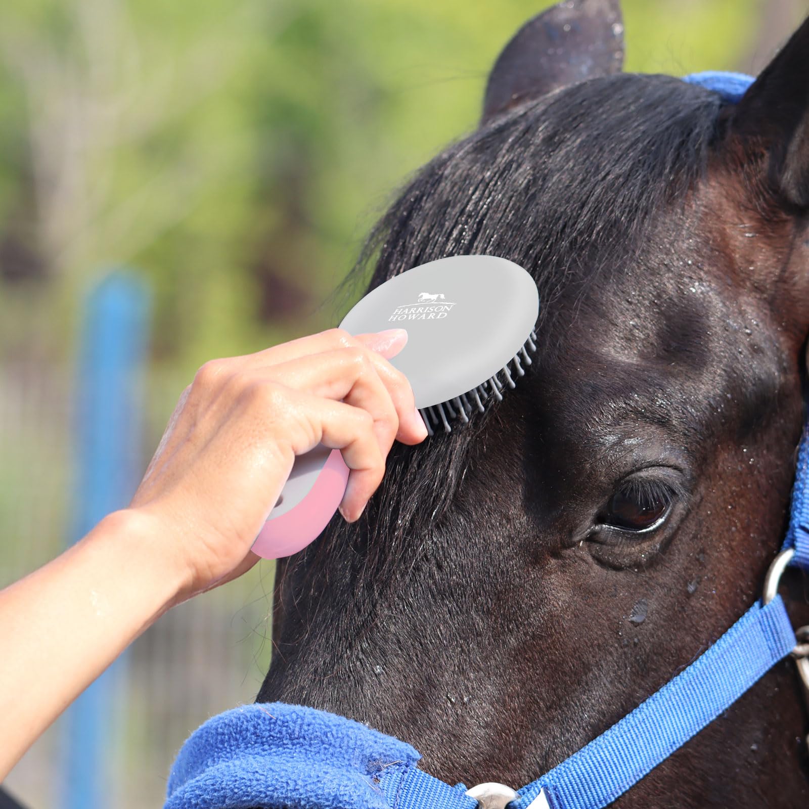 Harrison Howard non-slip arc-handle improves grip during grooming.