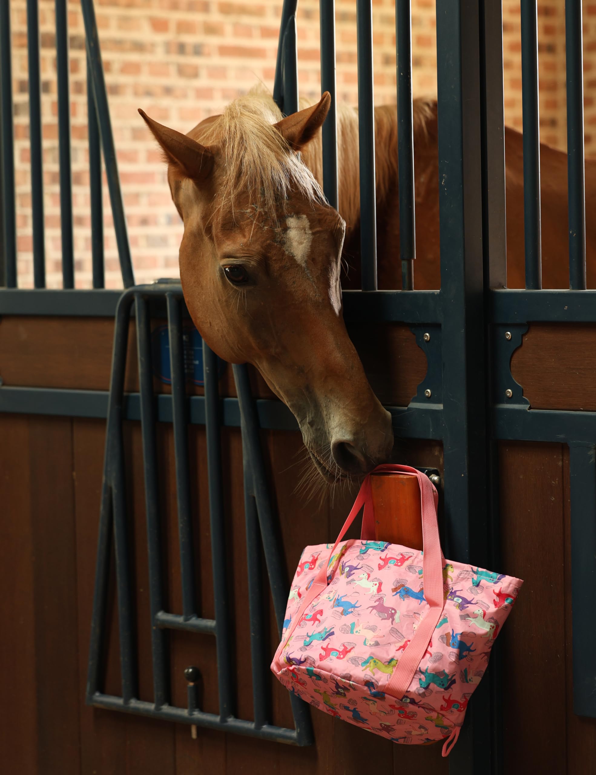 Harrison Howard portable tote with brushes, ideal for trail rides and stable grooming