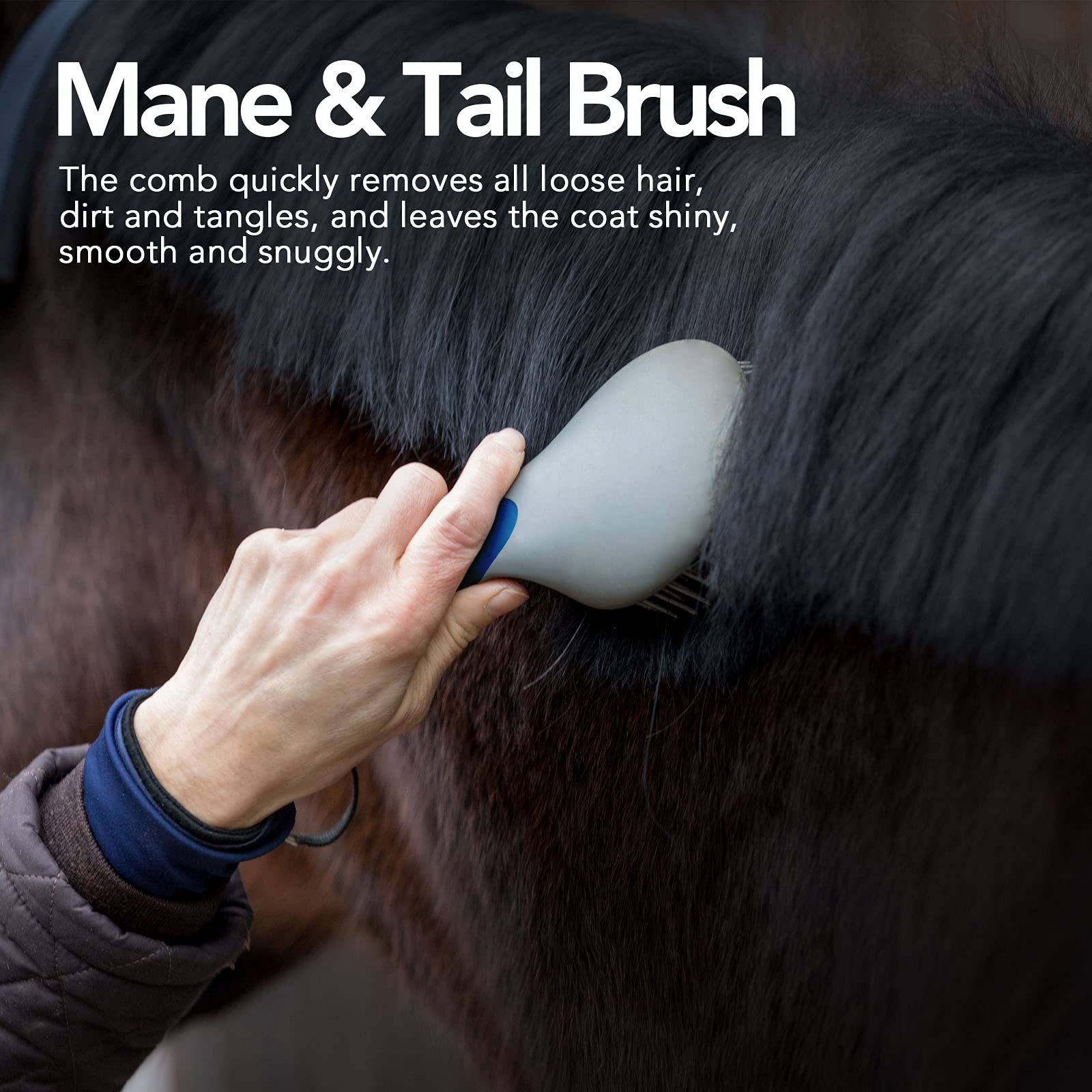 Harrison Howard ShineWell detangling mane and tail during grooming session