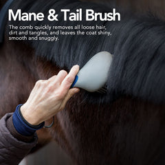 Harrison Howard ShineWell detangling mane and tail during grooming session