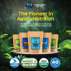 Harrison's Adult Lifetime Mash powder texture showcases a fine, easily scoopable formula.