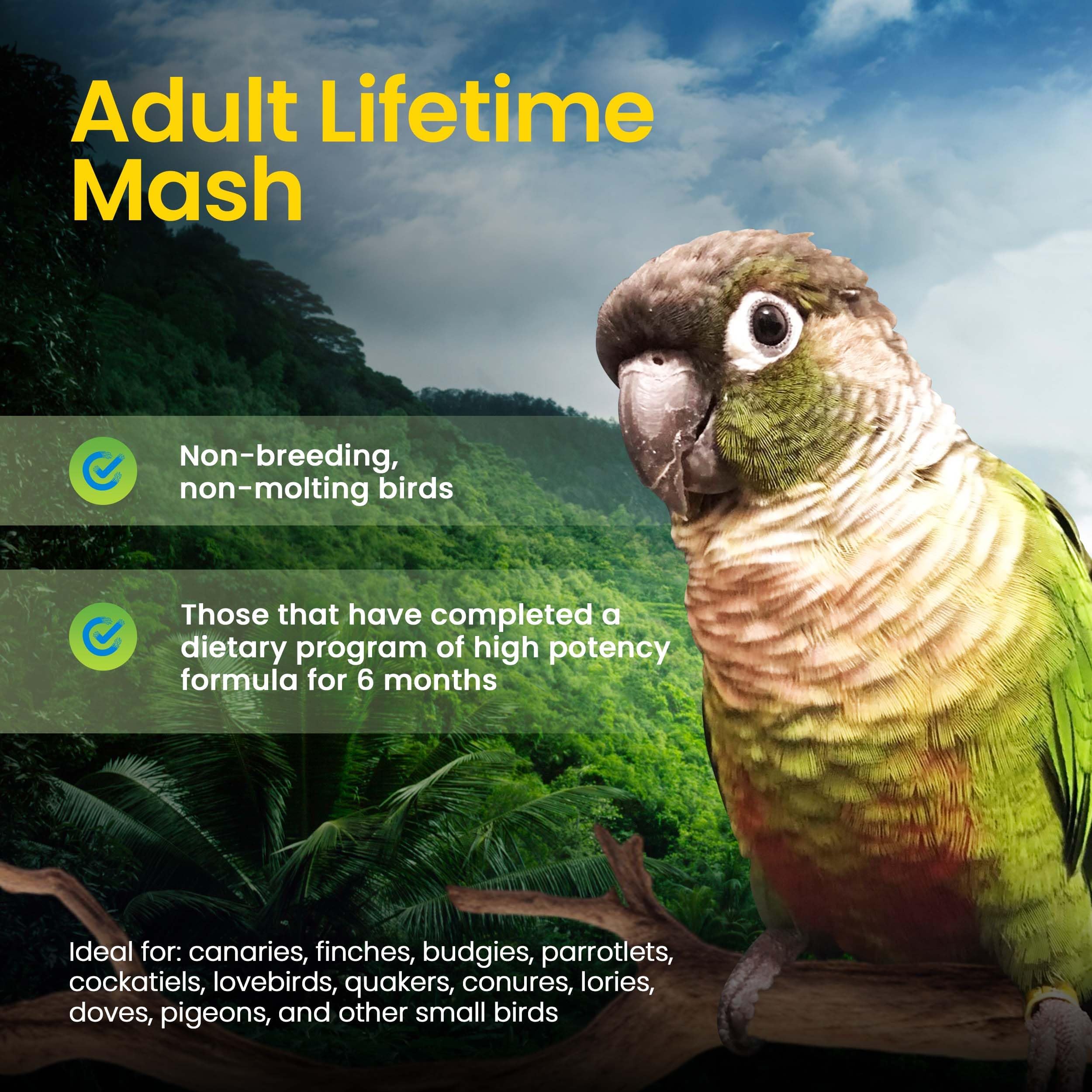 Harrison's Adult Lifetime Mash serving in bowl demonstrates simple year-round feeding.